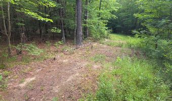 1408 Coleman Mountain Rd, Appomattox, VA 24522