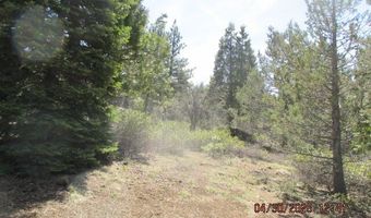 Night Owl Drive Lot 2, Bonanza, OR 97623