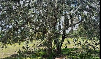 562 LIBBY Rd, Babson Park, FL 33827