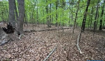 3220 SPOTSWOOD Trl Lot 5, Barboursville, VA 22923