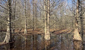 6075 Curtis Rd, Batesville, MS 38606