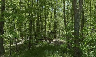 Washington Street lot 33 34 35, Barrington, NH 03825
