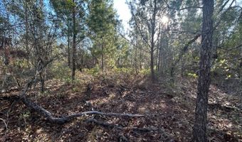 NW Lake McKenzie Rd, Altha, FL 32421