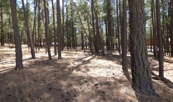 8 B County Road 2267 Escudilla Rd, Alpine, AZ 85920