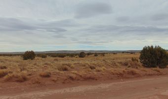 42 N5576, Concho, AZ 85924