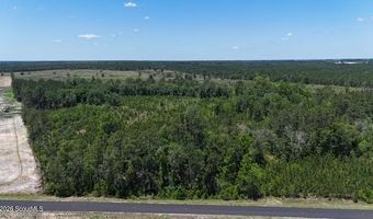 Oscar Tippins Road, Baxley, GA 31513