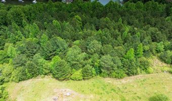 0 Lakeside Drive Lot 27-32 Lot 27-32, Arley, AL 35541