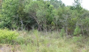 Alberson Road, Ashburn, GA 31714