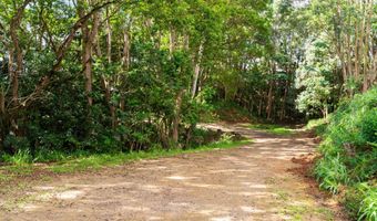 HAUIKI RD, Kapaa, HI 96746
