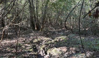 259 Forest Lake Rd, Beaumont, MS 39423