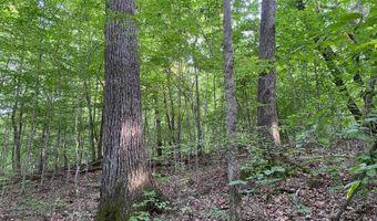 0 Willow Grove Hwy, Allons, TN 38541