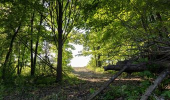28 Mile Rd, Albion, MI 49224