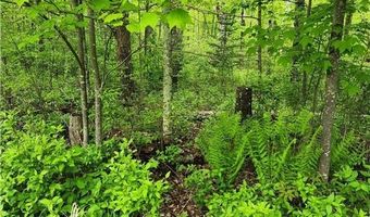 35270 Bear Creek Rd, Askov, MN 55704