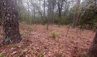 UNIT # 263B KIAMICHI WILDERNESS RD Unit # 63 63, Antlers, OK 74523