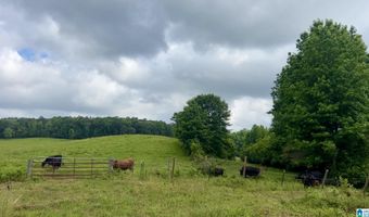 988 MINES Rd 100, Ashland, AL 36251