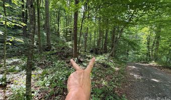 9999 Countryside Est, Barnardsville, NC 28709