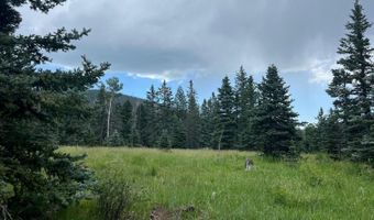 Elk Meadow Lot 82, Angel Fire, NM 87710