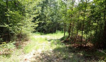 Adams Road, Bankston, AL 35542