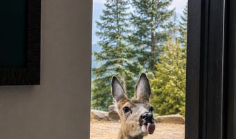 270 Theodosia Ln, Anaconda, MT 59711