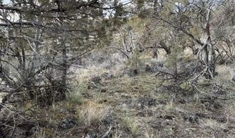 Prarie Dog Drive, Bonanza, OR 97623