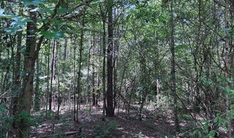 North Palestine Road, Baldwyn, MS 38824