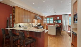 714 S Galena St B, Aspen, CO 81611