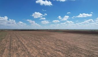 Shepard St, Abernathy, TX 79311