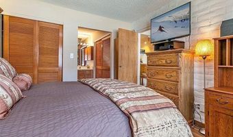 313 VINE St 313, Aspen, CO 81611