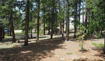 0 Caesar Rd, Black Hawk, CO 80422