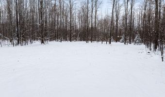 7438 AFTON Rd, Afton, MI 49705