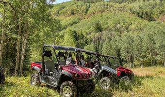 9555 Castle Creek Rd, Aspen, CO 81611