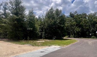 4899 36th St, Bell, FL 32619