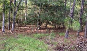 Largo Street, Alford, FL 32420
