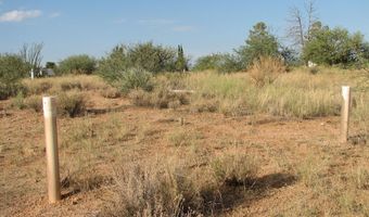 16415 S Shoshone Trl 317, Benson, AZ 85602