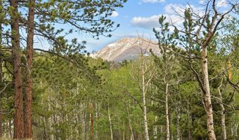 839 Ski Rd, Allenspark, CO 80510