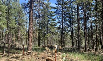 12543 Night Owl Dr, Bonanza, OR 97623