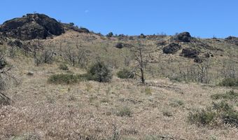930 Cavelti Rd, Gardnerville, NV 89410