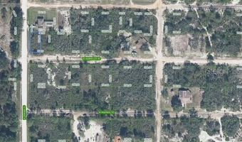 3040 W HASBROUCK Rd, Avon Park, FL 33825