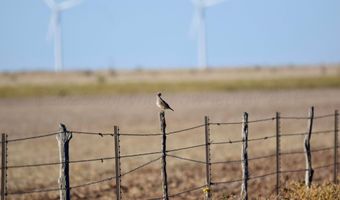 State Highway 214, Adrian, TX 79001