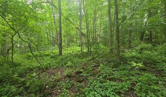 Boston Hill Road, Andover, CT 06232
