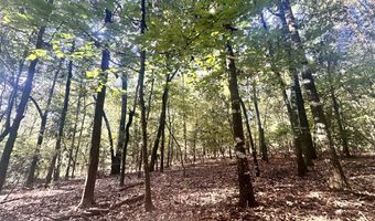 0 Highway 3, Blackville, SC 29817