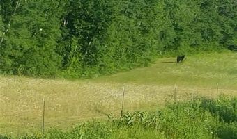 Tbd Partridge Drive, Askov, MN 55704