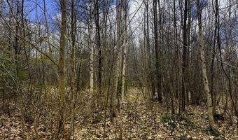 0 Burke Green Rd 2, Burke, VT 05832
