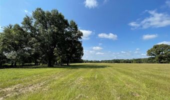 Lot 5b Rains County Road 2420, Alba, TX 75410