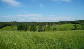339 MCNUTT Rd, Bear Creek, AL 35543