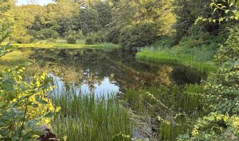 31 Water St 1, Bradford, NH 03221