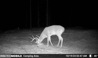 19 43 Big Rocks Rd, Antlers, OK 74523