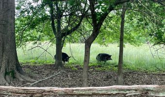 2311 ROCKWOOD Rd, Accokeek, MD 20607