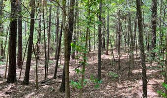 8 SC-215 S, Blair, SC 29015