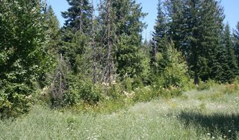 18 Majestic Mountain Rd, Clark Fork, ID 83811